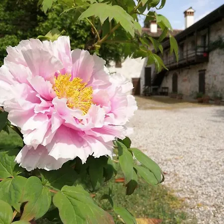 Country house Mulino Stel *